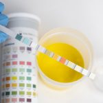 synthetic urine kits
